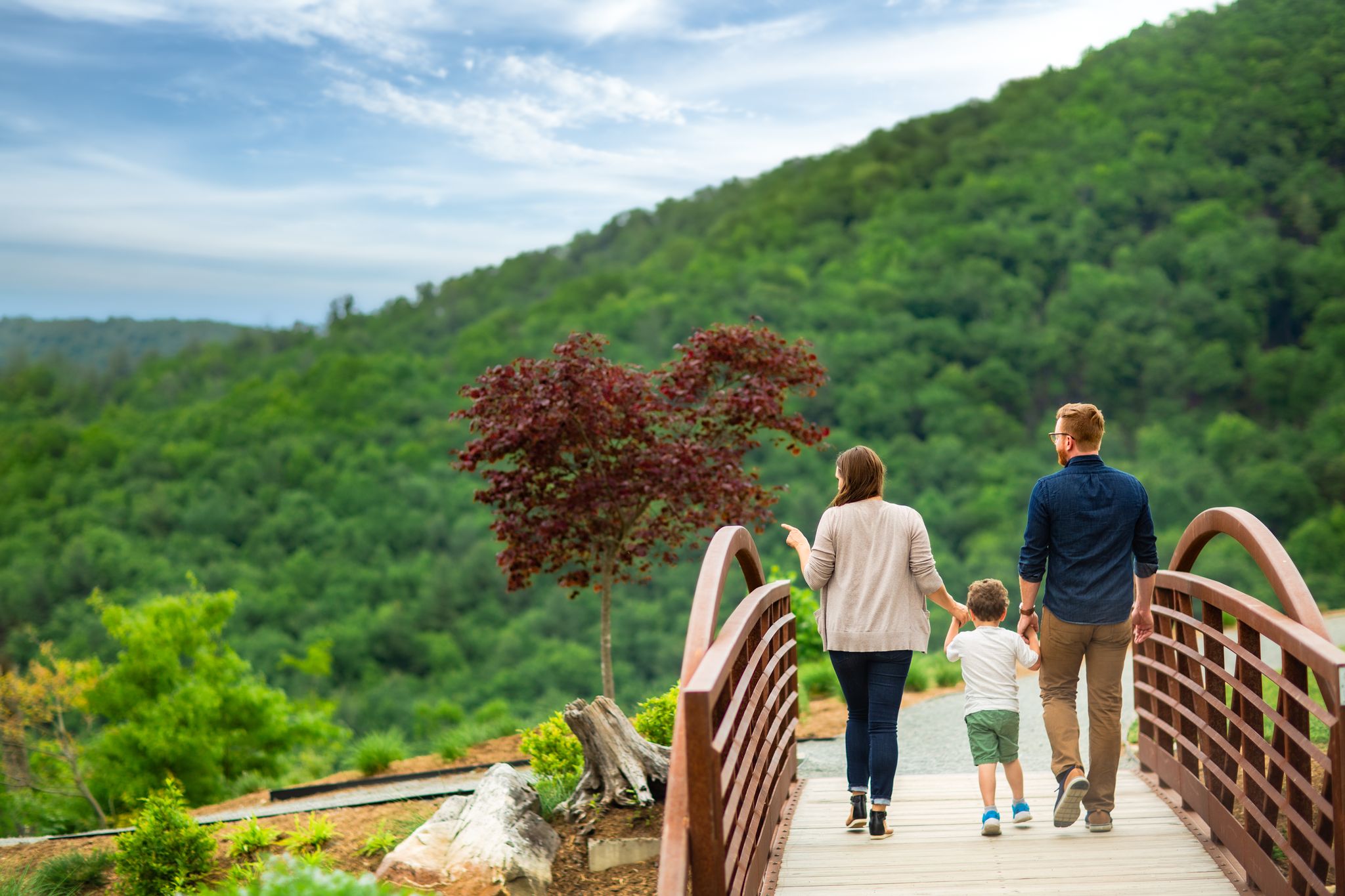 Blue Ridge Mountains FAQ's