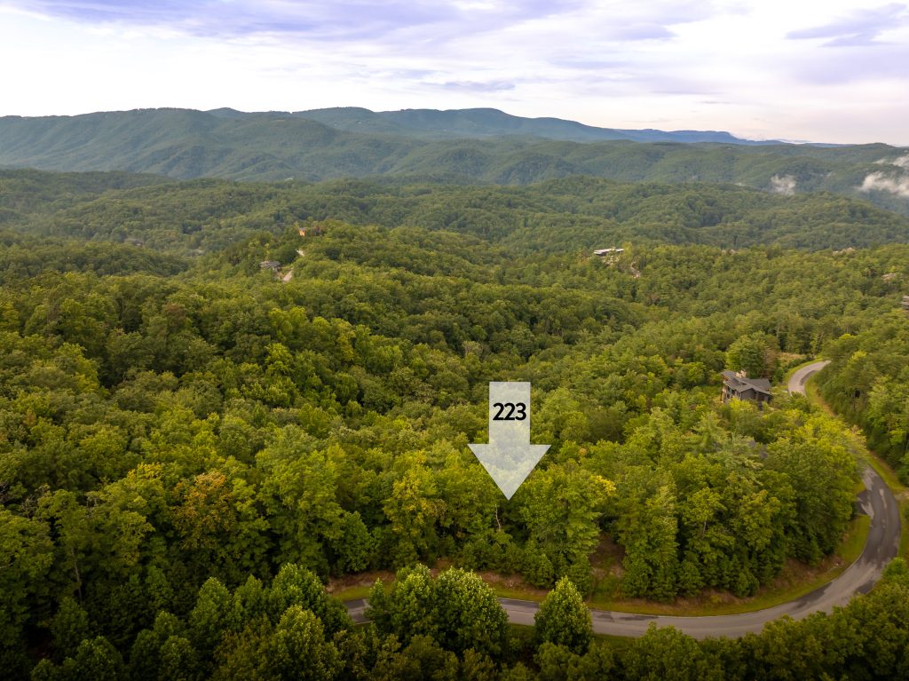 *Homesite outline and location marker in photos is not a survey. Lines and location are approximate.