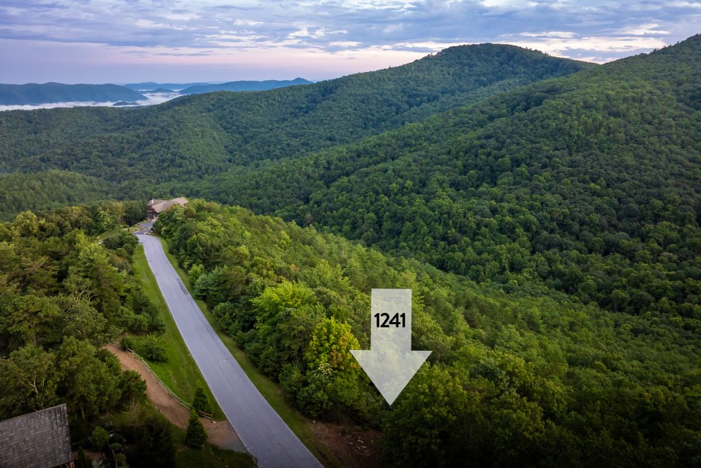 *Homesite outline and location marker in photos is not a survey. Lines and location are approximate.