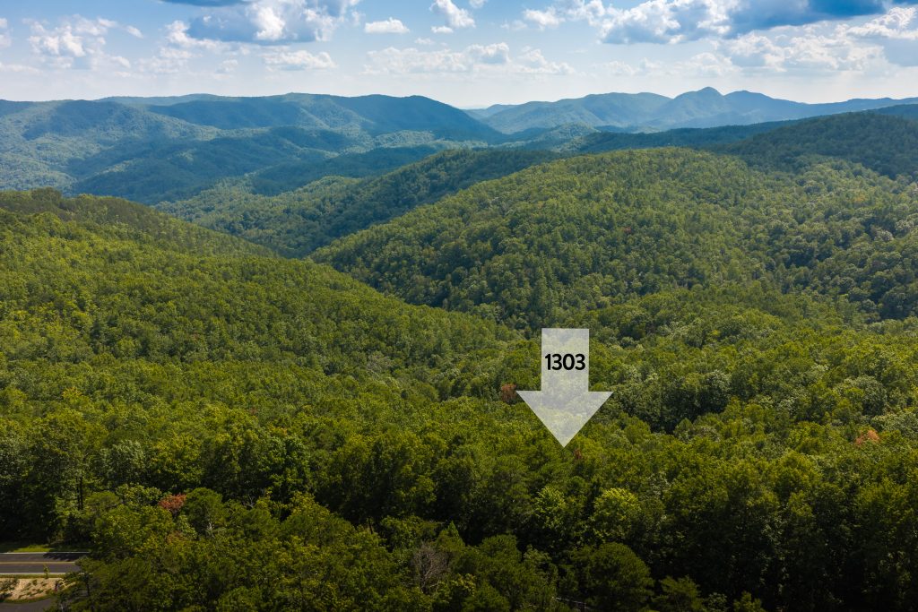 *Homesite outline and location marker in photos is not a survey. Lines and location are approximate.